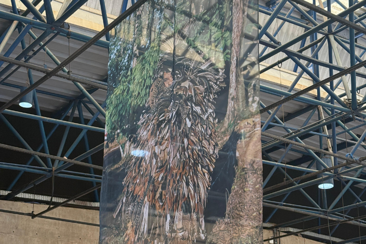 “Assojaba Tupinambá Umbeumbesàwa: o manto tupinambá conta e canta a história” - Sesc rio preto